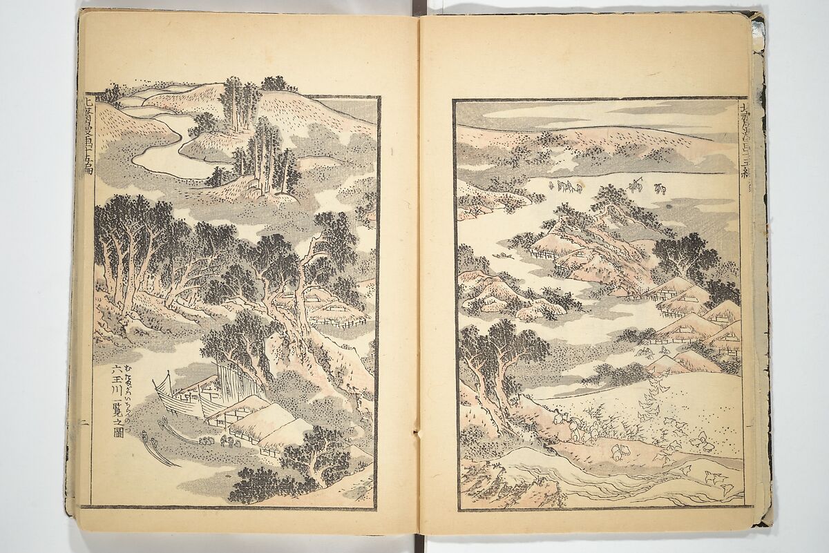 Transmitting the Spirit, Revealing the Form of Things, Volume 1 to 15 of Hokusai Sketchbooks (Denshin kaishu: Hokusai manga, shohen–jugohen) 伝神開手北斎漫画 初編-十五編, Katsushika Hokusai 葛飾北斎 (Japanese, Tokyo (Edo) 1760–1849 Tokyo (Edo)), Set of fifteen woodblock printed books; ink and color on paper, Japan