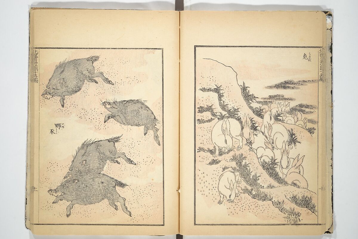 Transmitting the Spirit, Revealing the Form of Things, Volume 1 to 15 of Hokusai Sketchbooks (Denshin kaishu: Hokusai manga, shohen–jugohen) 伝神開手北斎漫画 初編-十五編, Katsushika Hokusai 葛飾北斎 (Japanese, Tokyo (Edo) 1760–1849 Tokyo (Edo)), Set of fifteen woodblock printed books; ink and color on paper, Japan