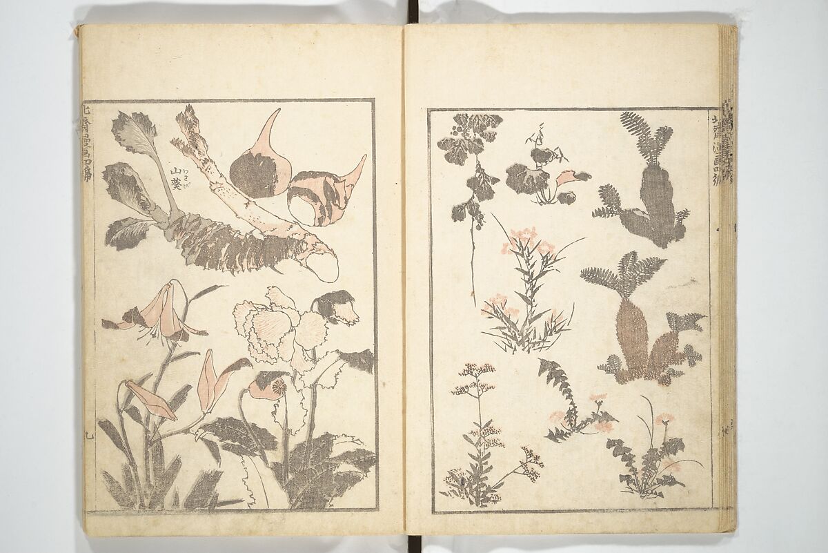 Transmitting the Spirit, Revealing the Form of Things, Volume 1 to 15 of Hokusai Sketchbooks (Denshin kaishu: Hokusai manga, shohen–jugohen) 伝神開手北斎漫画 初編-十五編, Katsushika Hokusai 葛飾北斎 (Japanese, Tokyo (Edo) 1760–1849 Tokyo (Edo)), Set of fifteen woodblock printed books; ink and color on paper, Japan