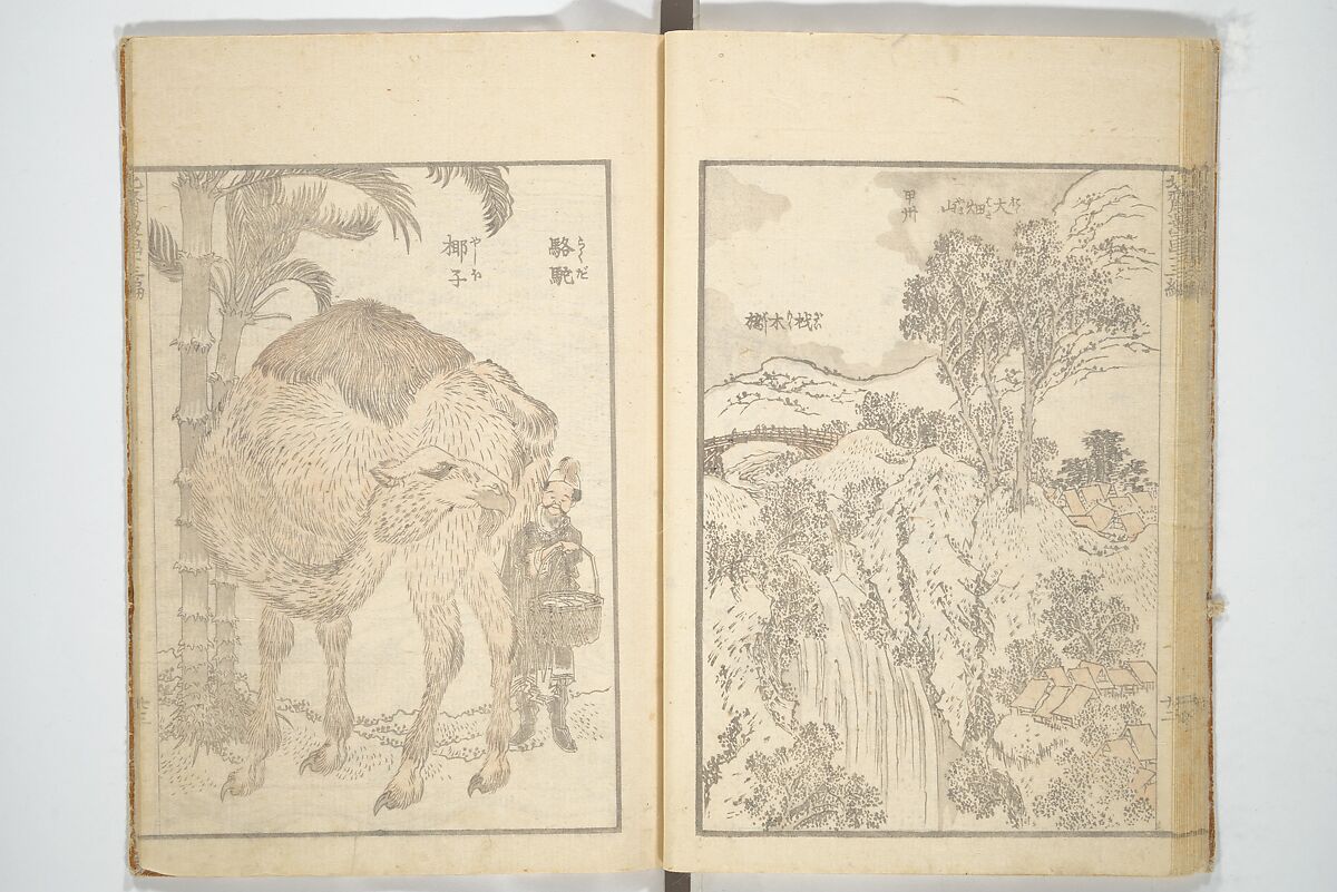 Transmitting the Spirit, Revealing the Form of Things, Volume 1 to 15 of Hokusai Sketchbooks (Denshin kaishu: Hokusai manga, shohen–jugohen) 伝神開手北斎漫画 初編-十五編, Katsushika Hokusai 葛飾北斎 (Japanese, Tokyo (Edo) 1760–1849 Tokyo (Edo)), Set of fifteen woodblock printed books; ink and color on paper, Japan