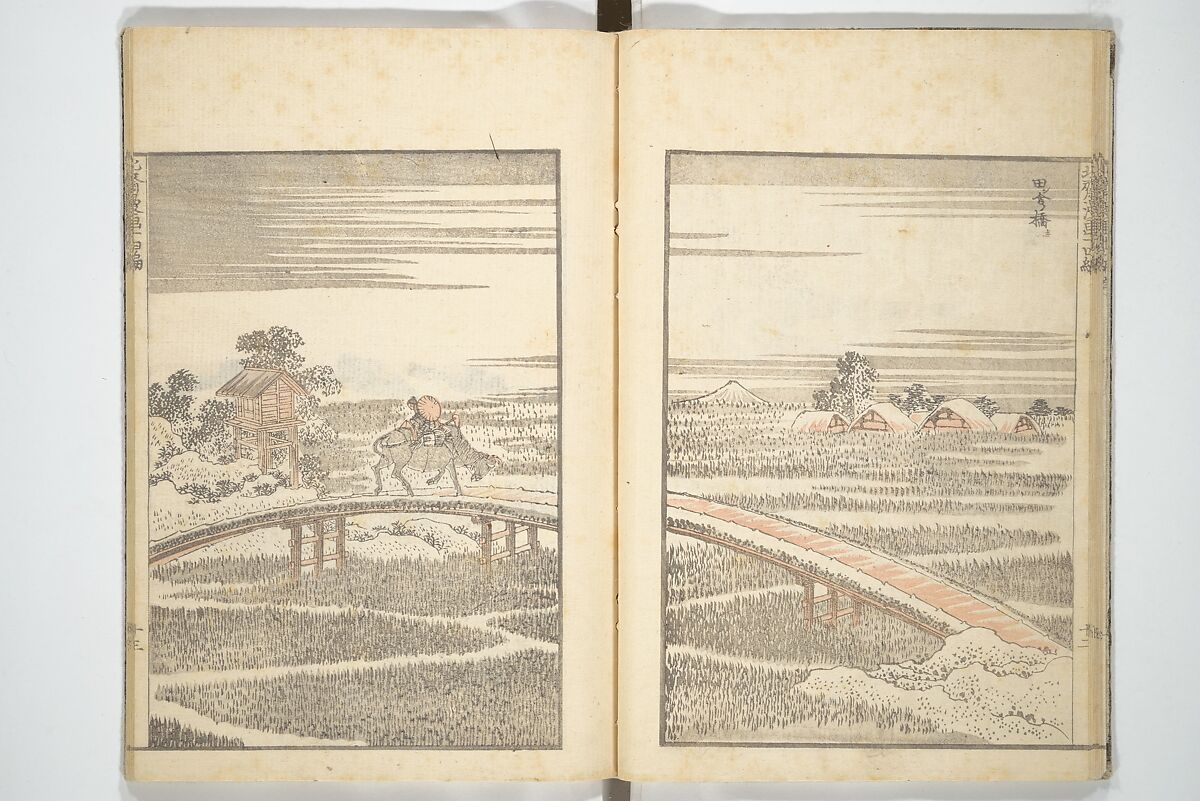 Transmitting the Spirit, Revealing the Form of Things, Volume 1 to 15 of Hokusai Sketchbooks (Denshin kaishu: Hokusai manga, shohen–jugohen) 伝神開手北斎漫画 初編-十五編, Katsushika Hokusai 葛飾北斎 (Japanese, Tokyo (Edo) 1760–1849 Tokyo (Edo)), Set of fifteen woodblock printed books; ink and color on paper, Japan