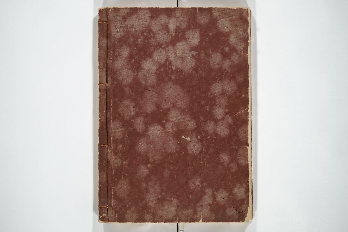 Transmitting the Spirit, Revealing the Form of Things, Volume 1 to 15 of Hokusai Sketchbooks (Denshin kaishu: Hokusai manga, shohen–jugohen) 伝神開手北斎漫画 初編-十五編, Katsushika Hokusai 葛飾北斎 (Japanese, Tokyo (Edo) 1760–1849 Tokyo (Edo)), Set of fifteen woodblock printed books; ink and color on paper, Japan