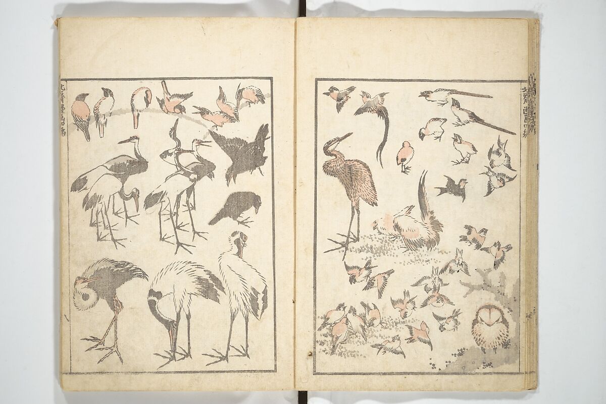 Transmitting the Spirit, Revealing the Form of Things, Volume 1 to 15 of Hokusai Sketchbooks (Denshin kaishu: Hokusai manga, shohen–jugohen) 伝神開手北斎漫画 初編-十五編, Katsushika Hokusai 葛飾北斎 (Japanese, Tokyo (Edo) 1760–1849 Tokyo (Edo)), Set of fifteen woodblock printed books; ink and color on paper, Japan