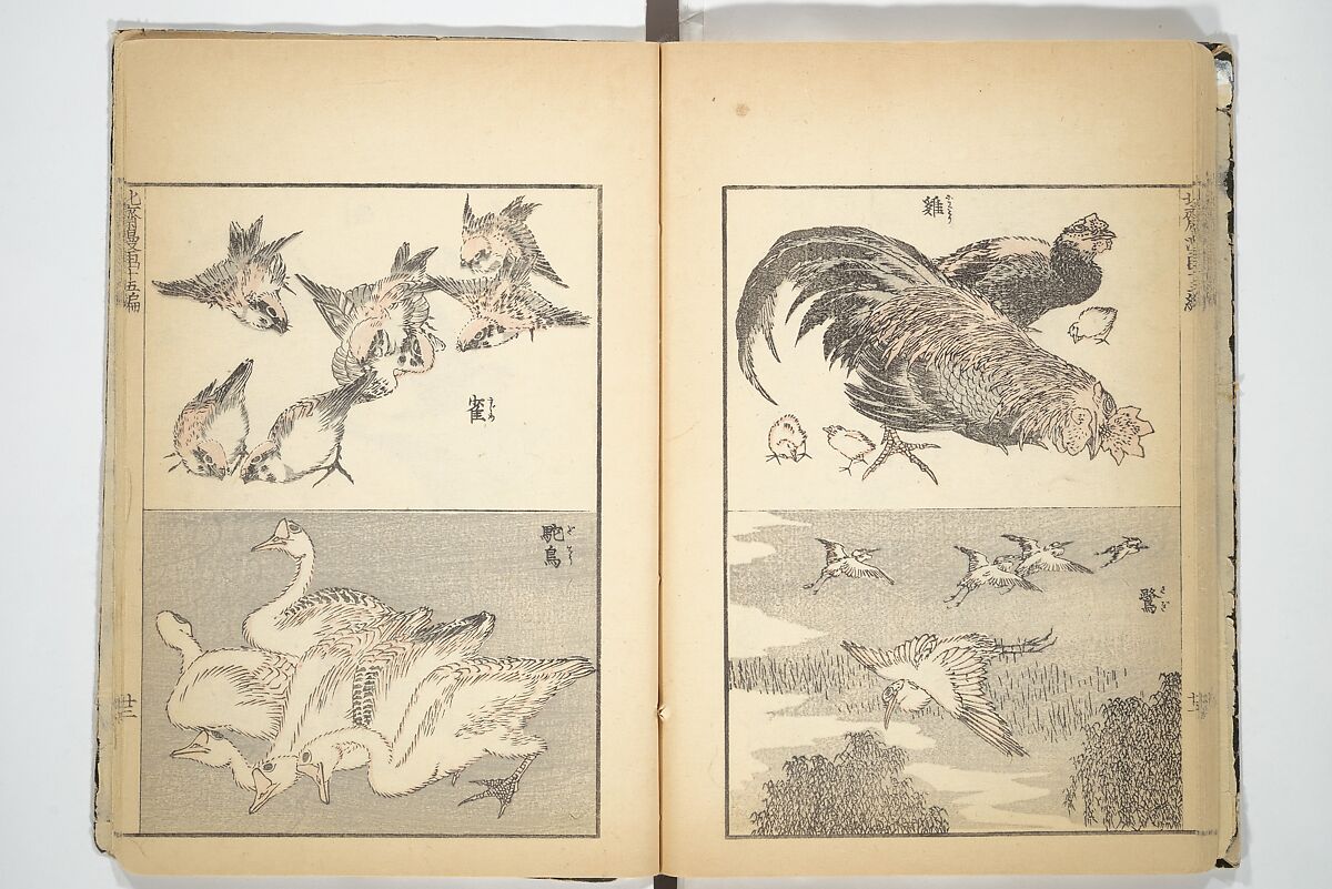 Transmitting the Spirit, Revealing the Form of Things, Volume 1 to 15 of Hokusai Sketchbooks (Denshin kaishu: Hokusai manga, shohen–jugohen) 伝神開手北斎漫画 初編-十五編, Katsushika Hokusai 葛飾北斎 (Japanese, Tokyo (Edo) 1760–1849 Tokyo (Edo)), Set of fifteen woodblock printed books; ink and color on paper, Japan