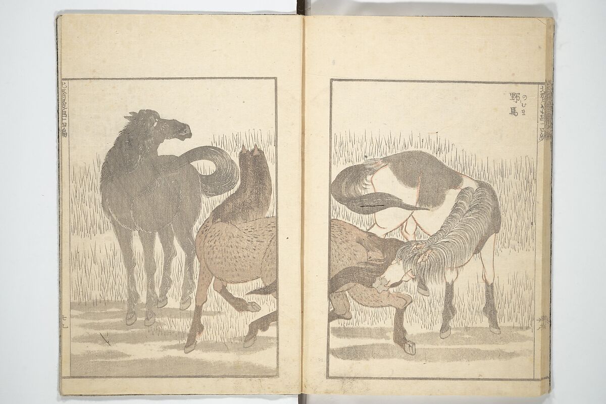 Transmitting the Spirit, Revealing the Form of Things, Volume 1 to 15 of Hokusai Sketchbooks (Denshin kaishu: Hokusai manga, shohen–jugohen) 伝神開手北斎漫画 初編-十五編, Katsushika Hokusai 葛飾北斎 (Japanese, Tokyo (Edo) 1760–1849 Tokyo (Edo)), Set of fifteen woodblock printed books; ink and color on paper, Japan