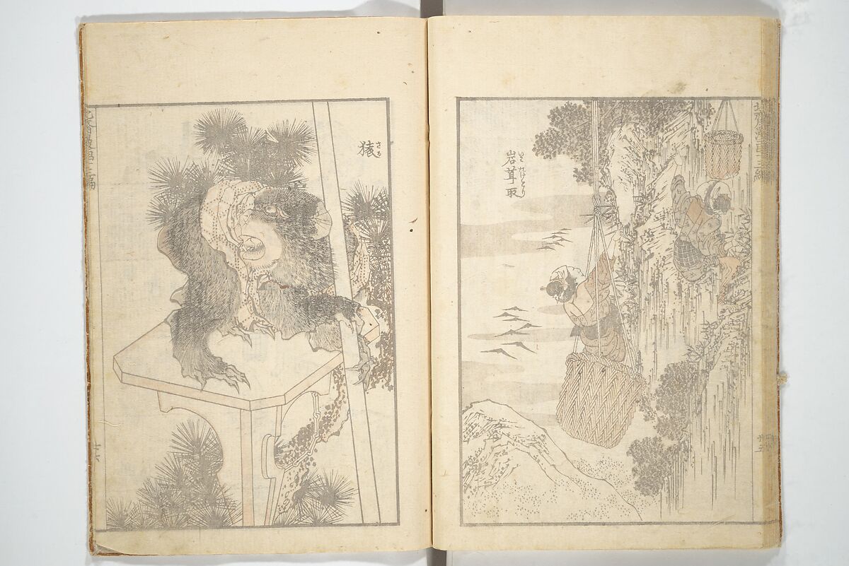 Transmitting the Spirit, Revealing the Form of Things, Volume 1 to 15 of Hokusai Sketchbooks (Denshin kaishu: Hokusai manga, shohen–jugohen) 伝神開手北斎漫画 初編-十五編, Katsushika Hokusai 葛飾北斎 (Japanese, Tokyo (Edo) 1760–1849 Tokyo (Edo)), Set of fifteen woodblock printed books; ink and color on paper, Japan