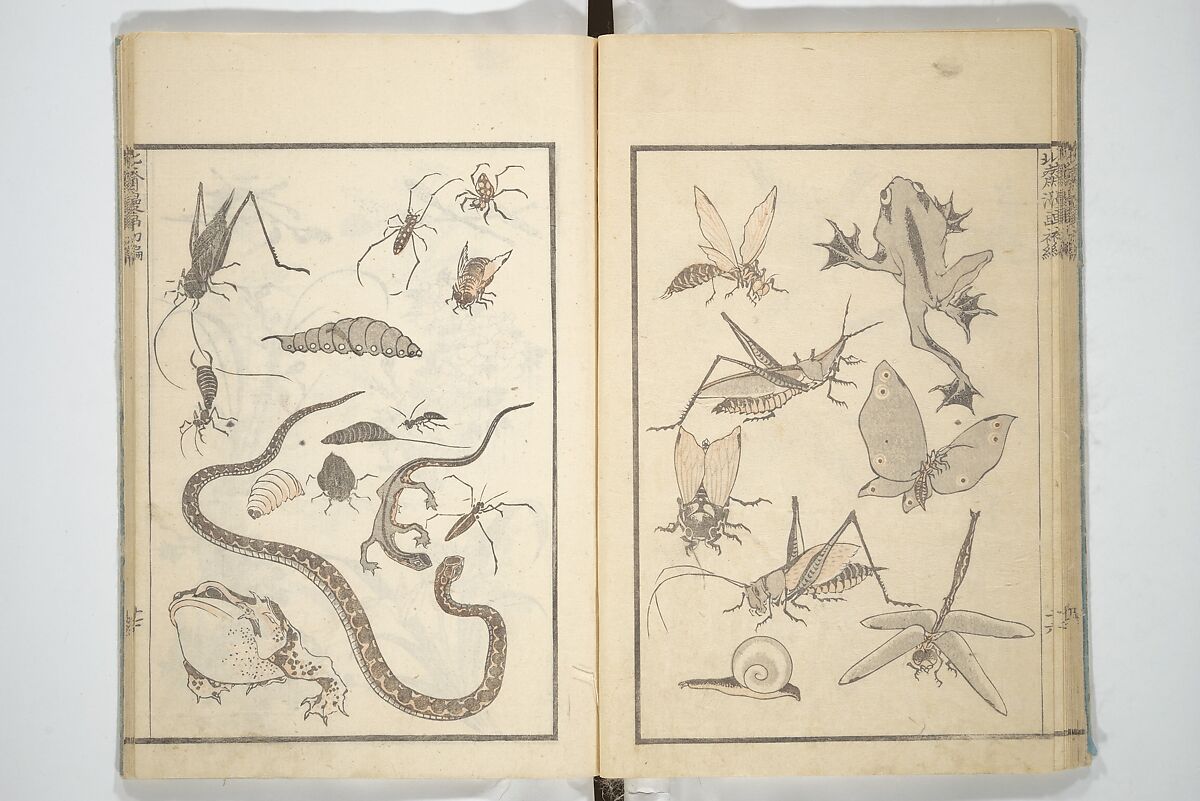 Transmitting the Spirit, Revealing the Form of Things, Volume 1 to 15 of Hokusai Sketchbooks (Denshin kaishu: Hokusai manga, shohen–jugohen) 伝神開手北斎漫画 初編-十五編, Katsushika Hokusai 葛飾北斎 (Japanese, Tokyo (Edo) 1760–1849 Tokyo (Edo)), Set of fifteen woodblock printed books; ink and color on paper, Japan