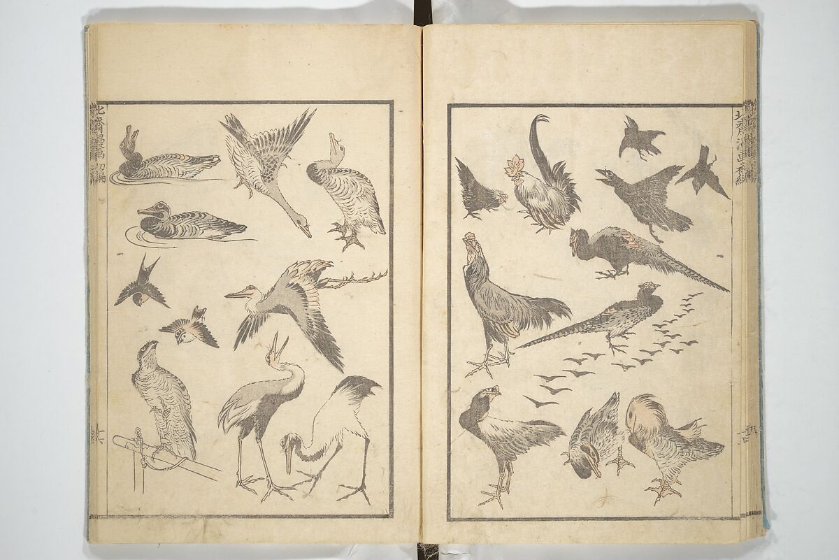 Transmitting the Spirit, Revealing the Form of Things, Volume 1 to 15 of Hokusai Sketchbooks (Denshin kaishu: Hokusai manga, shohen–jugohen) 伝神開手北斎漫画 初編-十五編, Katsushika Hokusai 葛飾北斎 (Japanese, Tokyo (Edo) 1760–1849 Tokyo (Edo)), Set of fifteen woodblock printed books; ink and color on paper, Japan