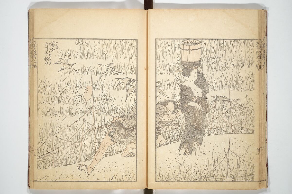 Transmitting the Spirit, Revealing the Form of Things, Volume 1 to 15 of Hokusai Sketchbooks (Denshin kaishu: Hokusai manga, shohen–jugohen) 伝神開手北斎漫画 初編-十五編, Katsushika Hokusai 葛飾北斎 (Japanese, Tokyo (Edo) 1760–1849 Tokyo (Edo)), Set of fifteen woodblock printed books; ink and color on paper, Japan
