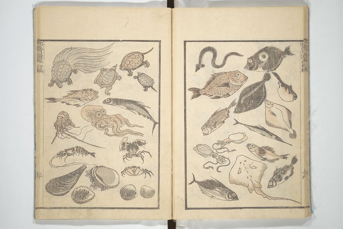 Transmitting the Spirit, Revealing the Form of Things, Volume 1 to 15 of Hokusai Sketchbooks (Denshin kaishu: Hokusai manga, shohen–jugohen) 伝神開手北斎漫画 初編-十五編, Katsushika Hokusai 葛飾北斎 (Japanese, Tokyo (Edo) 1760–1849 Tokyo (Edo)), Set of fifteen woodblock printed books; ink and color on paper, Japan