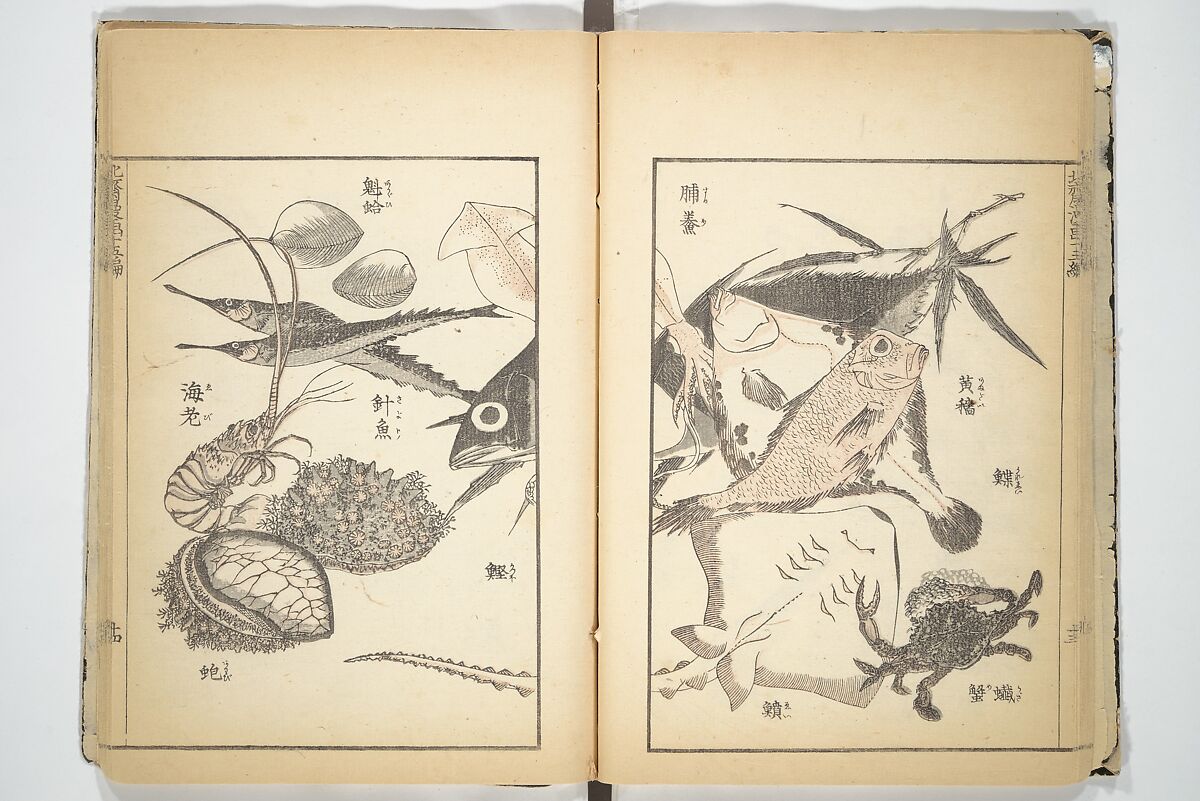 Transmitting the Spirit, Revealing the Form of Things, Volume 1 to 15 of Hokusai Sketchbooks (Denshin kaishu: Hokusai manga, shohen–jugohen) 伝神開手北斎漫画 初編-十五編, Katsushika Hokusai 葛飾北斎 (Japanese, Tokyo (Edo) 1760–1849 Tokyo (Edo)), Set of fifteen woodblock printed books; ink and color on paper, Japan