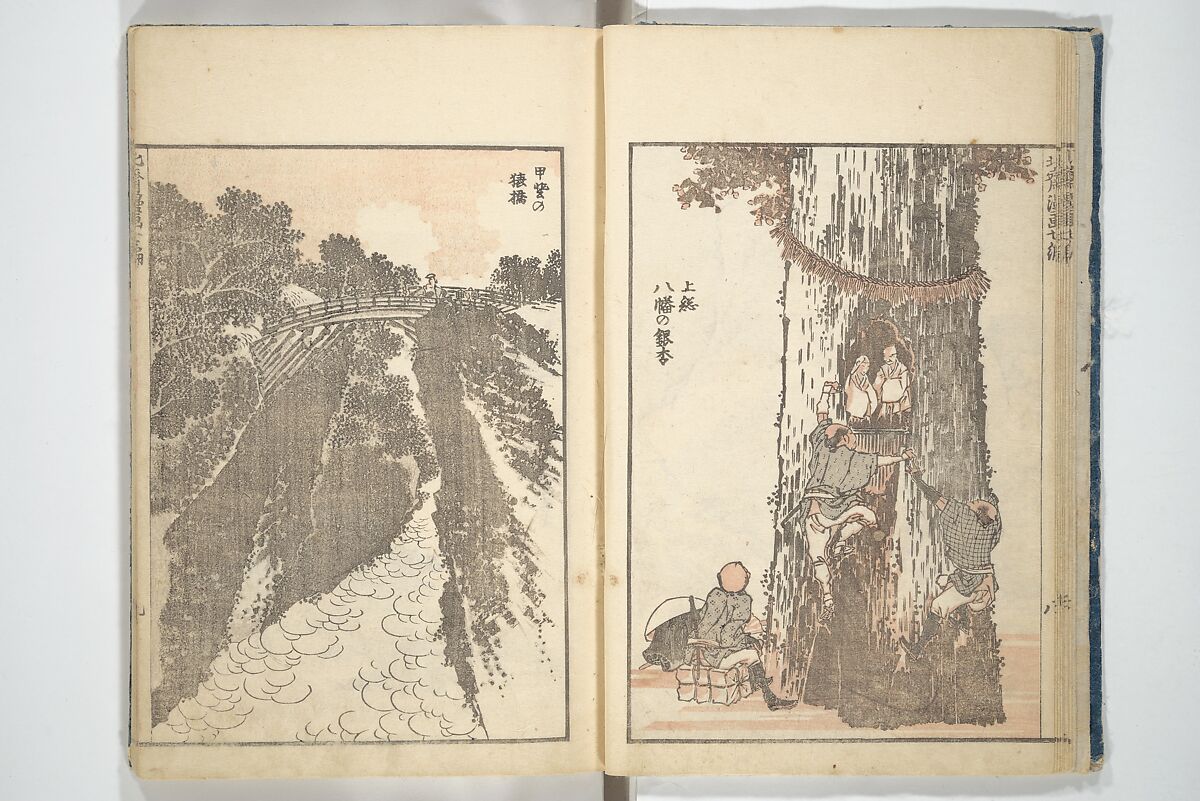 Transmitting the Spirit, Revealing the Form of Things, Volume 1 to 15 of Hokusai Sketchbooks (Denshin kaishu: Hokusai manga, shohen–jugohen) 伝神開手北斎漫画 初編-十五編, Katsushika Hokusai 葛飾北斎 (Japanese, Tokyo (Edo) 1760–1849 Tokyo (Edo)), Set of fifteen woodblock printed books; ink and color on paper, Japan