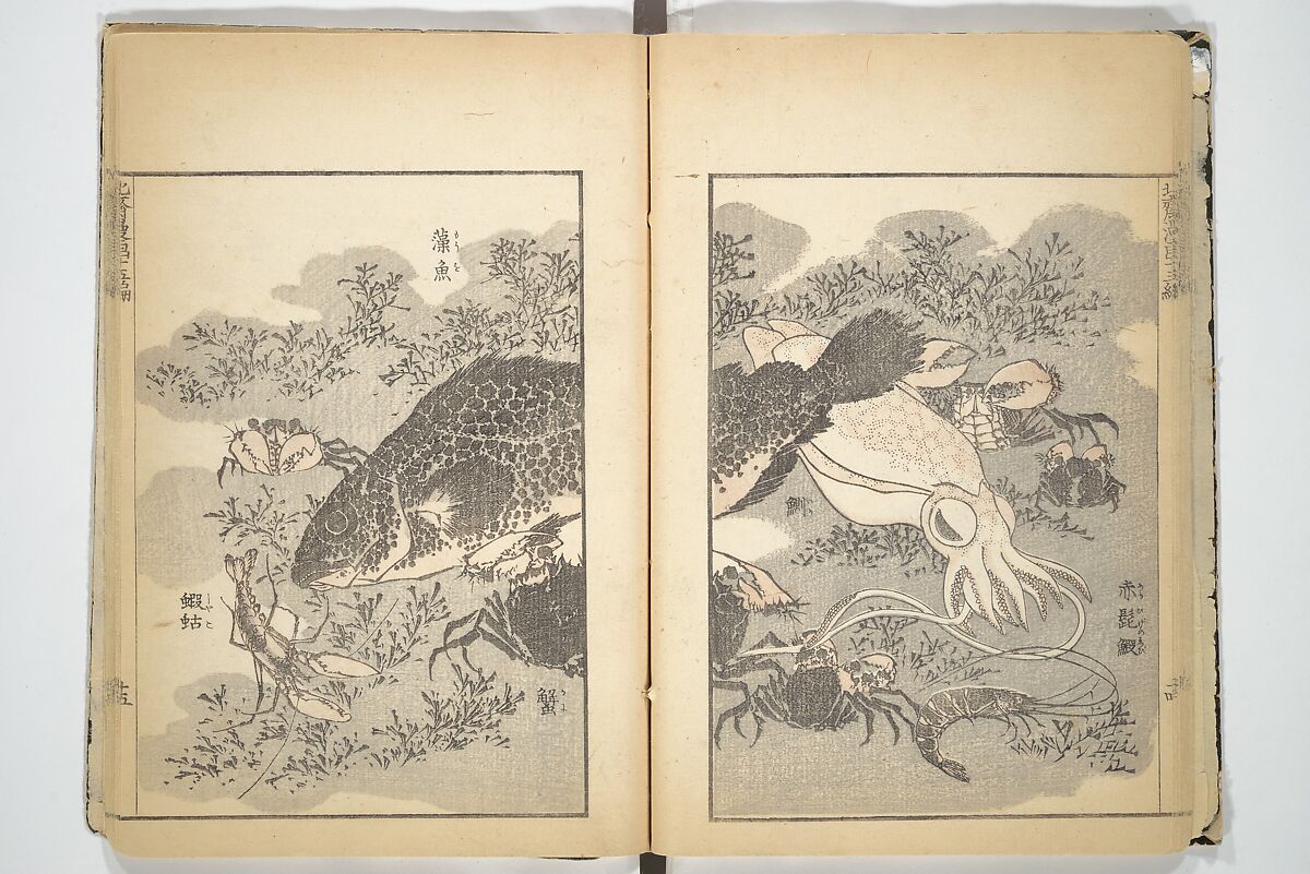 Transmitting the Spirit, Revealing the Form of Things, Volume 1 to 15 of Hokusai Sketchbooks (Denshin kaishu: Hokusai manga, shohen–jugohen) 伝神開手北斎漫画 初編-十五編, Katsushika Hokusai 葛飾北斎 (Japanese, Tokyo (Edo) 1760–1849 Tokyo (Edo)), Set of fifteen woodblock printed books; ink and color on paper, Japan