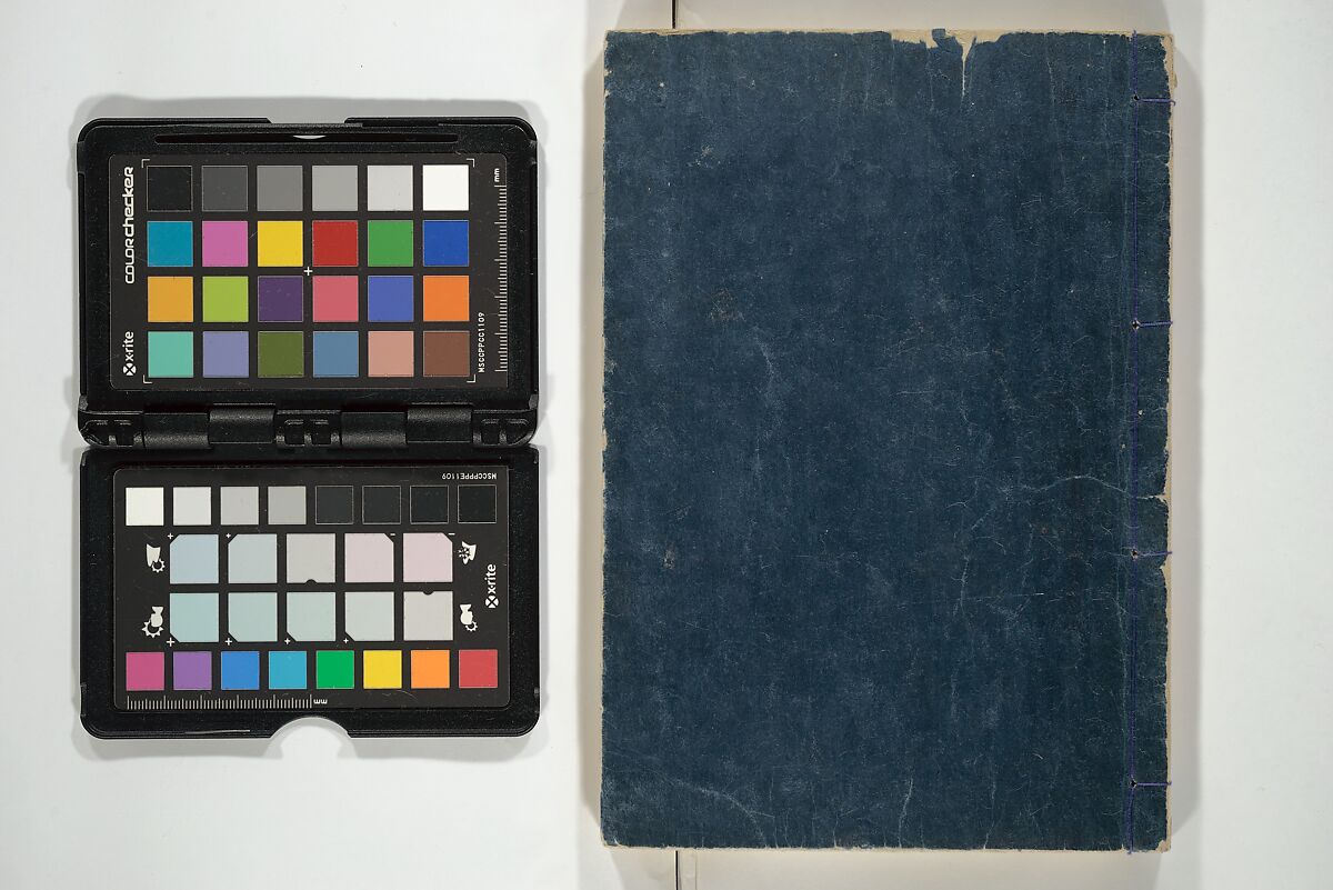 Transmitting the Spirit, Revealing the Form of Things, Volume 1 to 15 of Hokusai Sketchbooks (Denshin kaishu: Hokusai manga, shohen–jugohen) 伝神開手北斎漫画 初編-十五編, Katsushika Hokusai 葛飾北斎 (Japanese, Tokyo (Edo) 1760–1849 Tokyo (Edo)), Set of fifteen woodblock printed books; ink and color on paper, Japan