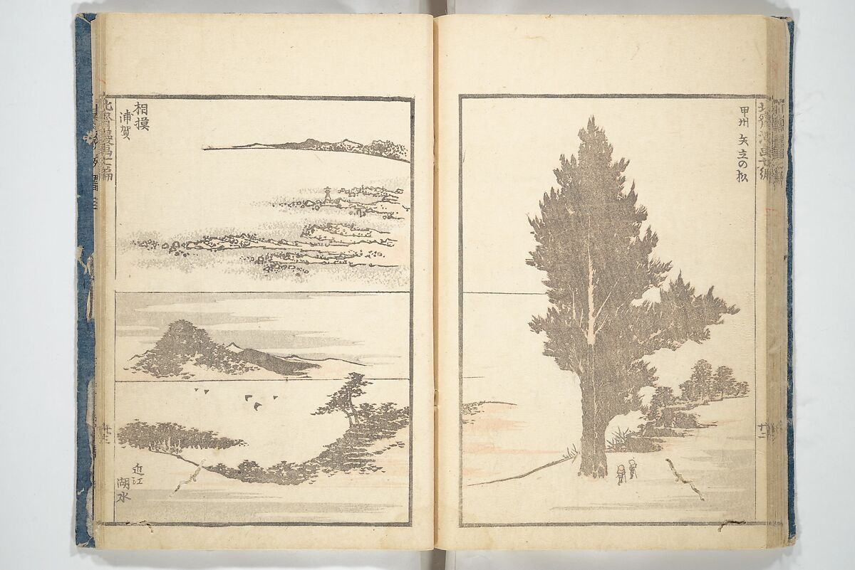 Transmitting the Spirit, Revealing the Form of Things, Volume 1 to 15 of Hokusai Sketchbooks (Denshin kaishu: Hokusai manga, shohen–jugohen) 伝神開手北斎漫画 初編-十五編, Katsushika Hokusai 葛飾北斎 (Japanese, Tokyo (Edo) 1760–1849 Tokyo (Edo)), Set of fifteen woodblock printed books; ink and color on paper, Japan