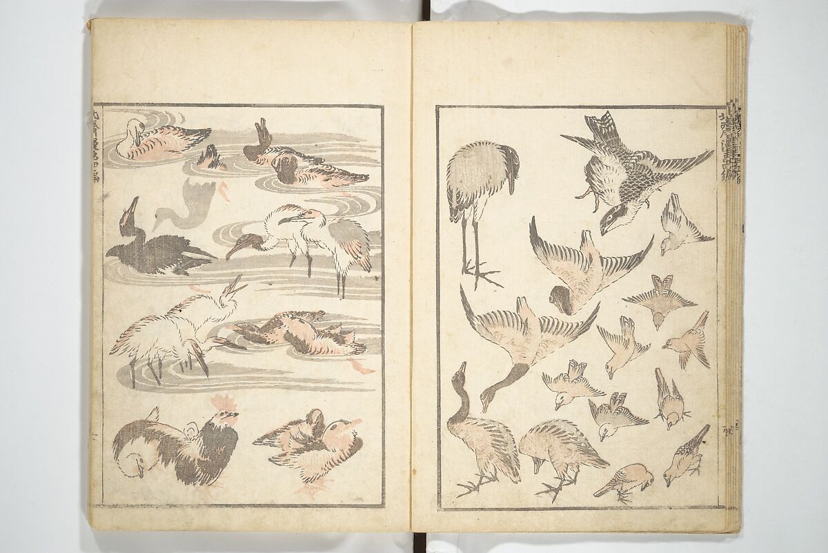 Transmitting the Spirit, Revealing the Form of Things, Volume 1 to 15 of Hokusai Sketchbooks (Denshin kaishu: Hokusai manga, shohen–jugohen) 伝神開手北斎漫画 初編-十五編, Katsushika Hokusai 葛飾北斎 (Japanese, Tokyo (Edo) 1760–1849 Tokyo (Edo)), Set of fifteen woodblock printed books; ink and color on paper, Japan