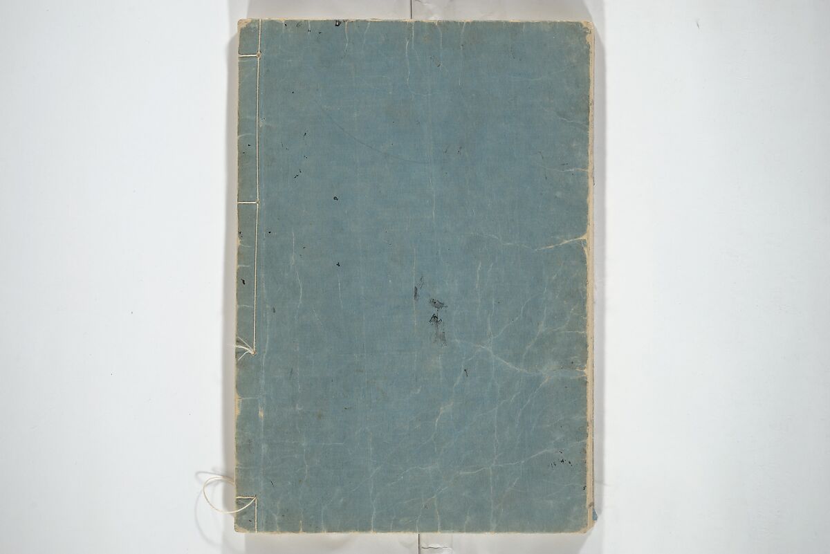 Transmitting the Spirit, Revealing the Form of Things, Volume 1 to 15 of Hokusai Sketchbooks (Denshin kaishu: Hokusai manga, shohen–jugohen) 伝神開手北斎漫画 初編-十五編, Katsushika Hokusai 葛飾北斎 (Japanese, Tokyo (Edo) 1760–1849 Tokyo (Edo)), Set of fifteen woodblock printed books; ink and color on paper, Japan