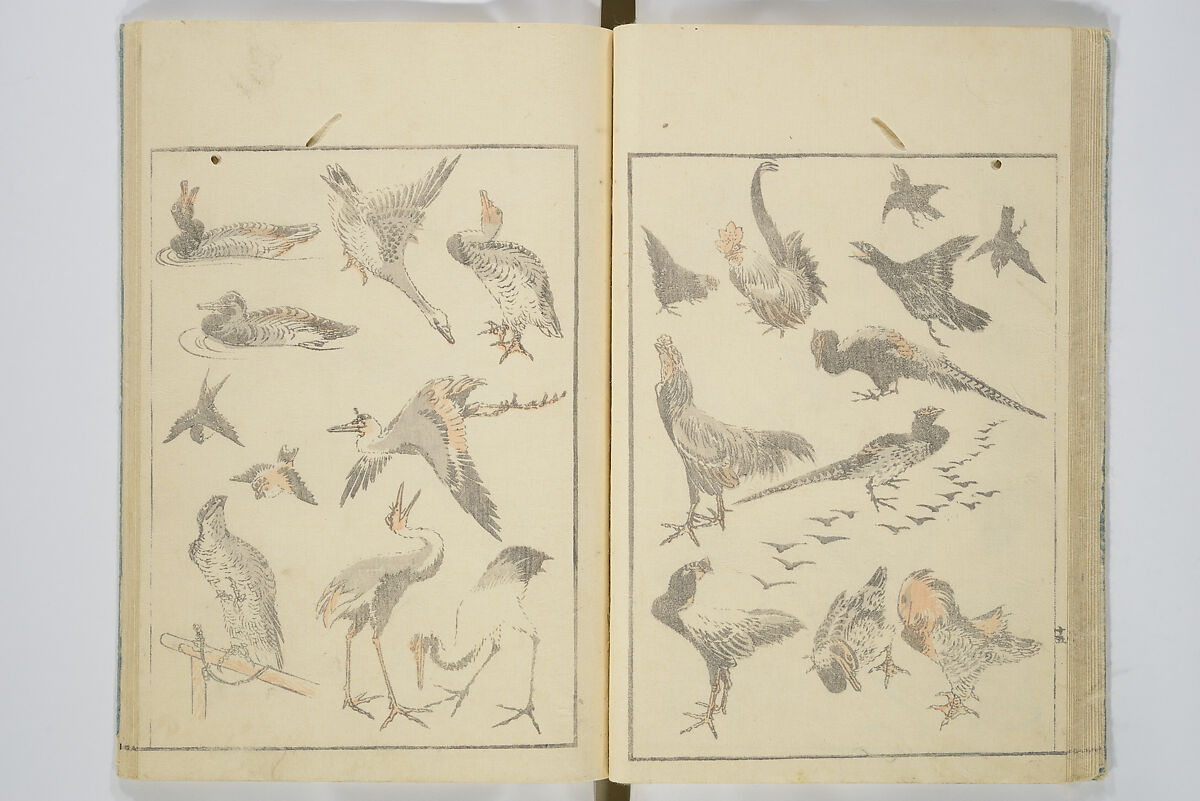 Transmitting the Spirit, Revealing the Form of Things, Volume 1 to 15 of Hokusai Sketchbooks (Denshin kaishu: Hokusai manga, shohen–jugohen) 伝神開手北斎漫画 初編-十五編, Katsushika Hokusai 葛飾北斎 (Japanese, Tokyo (Edo) 1760–1849 Tokyo (Edo)), Set of fifteen woodblock printed books; ink and color on paper, Japan