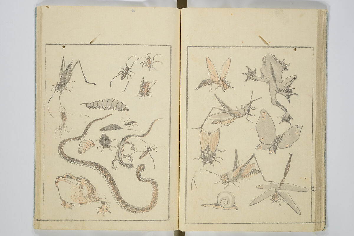 Transmitting the Spirit, Revealing the Form of Things, Volume 1 to 15 of Hokusai Sketchbooks (Denshin kaishu: Hokusai manga, shohen–jugohen) 伝神開手北斎漫画 初編-十五編, Katsushika Hokusai 葛飾北斎 (Japanese, Tokyo (Edo) 1760–1849 Tokyo (Edo)), Set of fifteen woodblock printed books; ink and color on paper, Japan