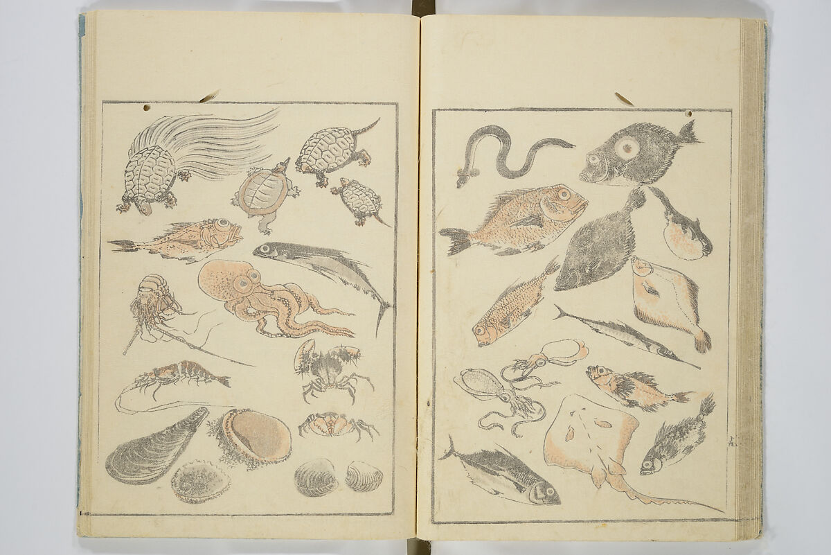 Transmitting the Spirit, Revealing the Form of Things, Volume 1 to 15 of Hokusai Sketchbooks (Denshin kaishu: Hokusai manga, shohen–jugohen) 伝神開手北斎漫画 初編-十五編, Katsushika Hokusai 葛飾北斎 (Japanese, Tokyo (Edo) 1760–1849 Tokyo (Edo)), Set of fifteen woodblock printed books; ink and color on paper, Japan