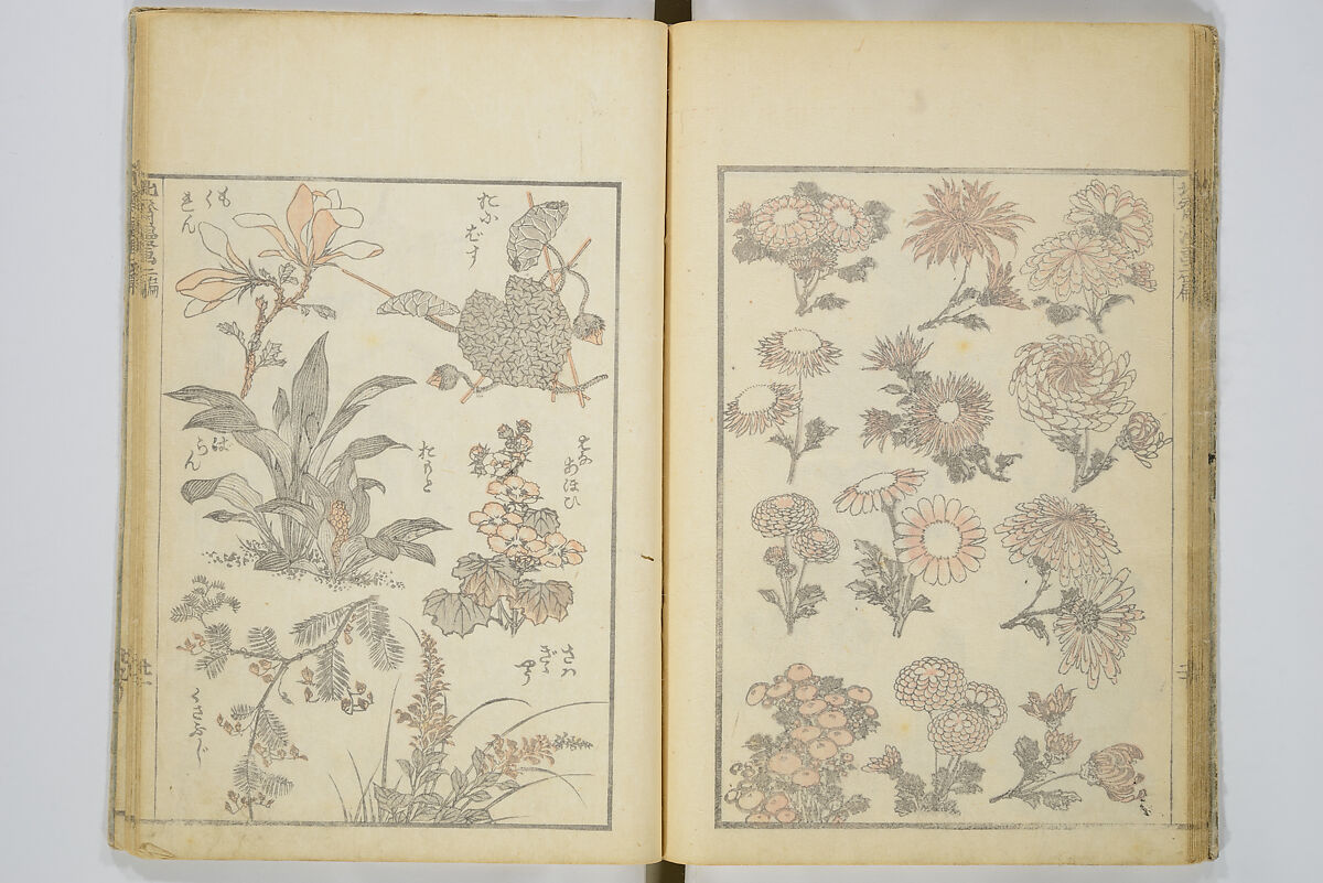 Transmitting the Spirit, Revealing the Form of Things, Volume 1 to 15 of Hokusai Sketchbooks (Denshin kaishu: Hokusai manga, shohen–jugohen) 伝神開手北斎漫画 初編-十五編, Katsushika Hokusai 葛飾北斎 (Japanese, Tokyo (Edo) 1760–1849 Tokyo (Edo)), Set of fifteen woodblock printed books; ink and color on paper, Japan