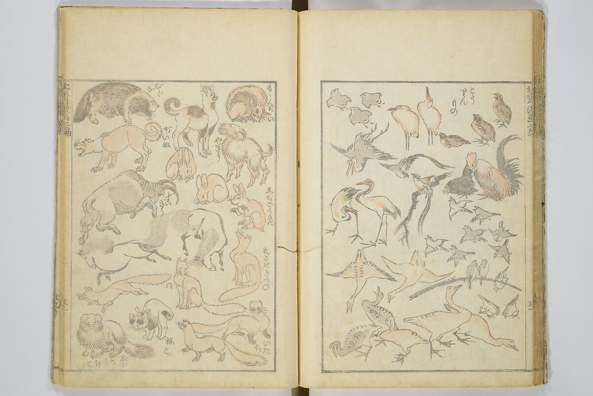 Transmitting the Spirit, Revealing the Form of Things, Volume 1 to 15 of Hokusai Sketchbooks (Denshin kaishu: Hokusai manga, shohen–jugohen) 伝神開手北斎漫画 初編-十五編, Katsushika Hokusai 葛飾北斎 (Japanese, Tokyo (Edo) 1760–1849 Tokyo (Edo)), Set of fifteen woodblock printed books; ink and color on paper, Japan