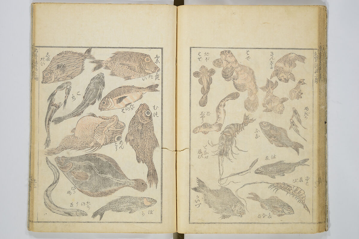 Transmitting the Spirit, Revealing the Form of Things, Volume 1 to 15 of Hokusai Sketchbooks (Denshin kaishu: Hokusai manga, shohen–jugohen) 伝神開手北斎漫画 初編-十五編, Katsushika Hokusai 葛飾北斎 (Japanese, Tokyo (Edo) 1760–1849 Tokyo (Edo)), Set of fifteen woodblock printed books; ink and color on paper, Japan