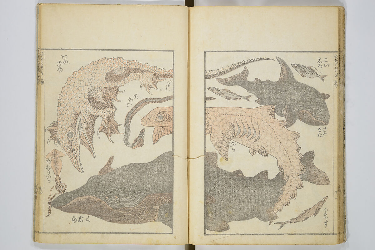 Transmitting the Spirit, Revealing the Form of Things, Volume 1 to 15 of Hokusai Sketchbooks (Denshin kaishu: Hokusai manga, shohen–jugohen) 伝神開手北斎漫画 初編-十五編, Katsushika Hokusai 葛飾北斎 (Japanese, Tokyo (Edo) 1760–1849 Tokyo (Edo)), Set of fifteen woodblock printed books; ink and color on paper, Japan