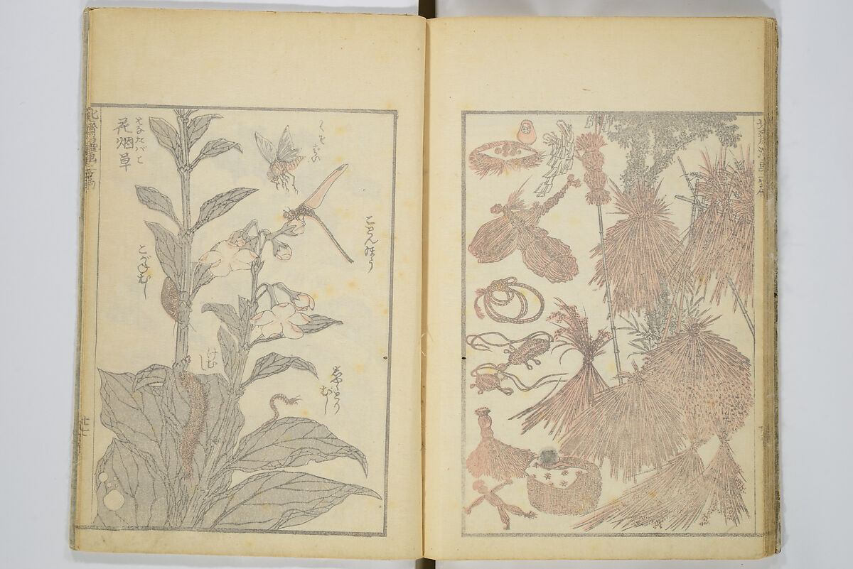 Transmitting the Spirit, Revealing the Form of Things, Volume 1 to 15 of Hokusai Sketchbooks (Denshin kaishu: Hokusai manga, shohen–jugohen) 伝神開手北斎漫画 初編-十五編, Katsushika Hokusai 葛飾北斎 (Japanese, Tokyo (Edo) 1760–1849 Tokyo (Edo)), Set of fifteen woodblock printed books; ink and color on paper, Japan