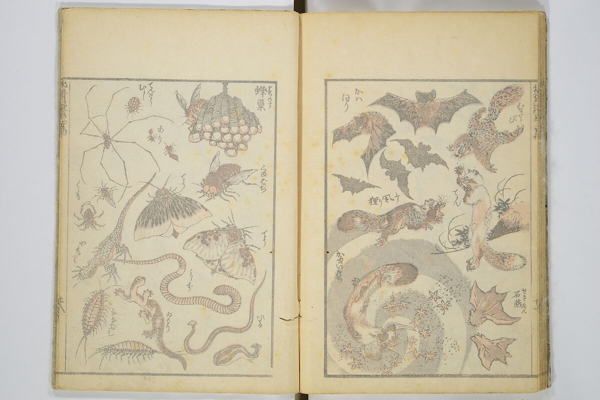 Transmitting the Spirit, Revealing the Form of Things, Volume 1 to 15 of Hokusai Sketchbooks (Denshin kaishu: Hokusai manga, shohen–jugohen) 伝神開手北斎漫画 初編-十五編, Katsushika Hokusai 葛飾北斎 (Japanese, Tokyo (Edo) 1760–1849 Tokyo (Edo)), Set of fifteen woodblock printed books; ink and color on paper, Japan