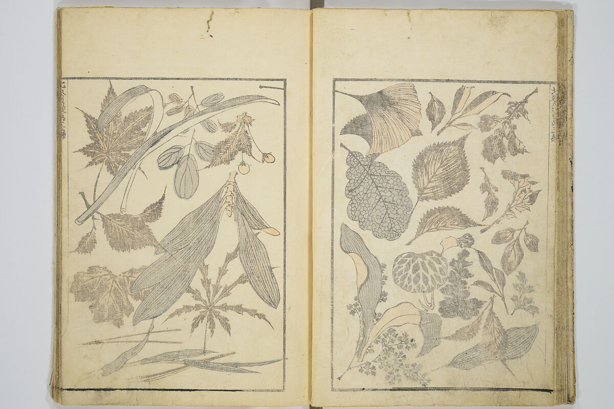 Transmitting the Spirit, Revealing the Form of Things, Volume 1 to 15 of Hokusai Sketchbooks (Denshin kaishu: Hokusai manga, shohen–jugohen) 伝神開手北斎漫画 初編-十五編, Katsushika Hokusai 葛飾北斎 (Japanese, Tokyo (Edo) 1760–1849 Tokyo (Edo)), Set of fifteen woodblock printed books; ink and color on paper, Japan