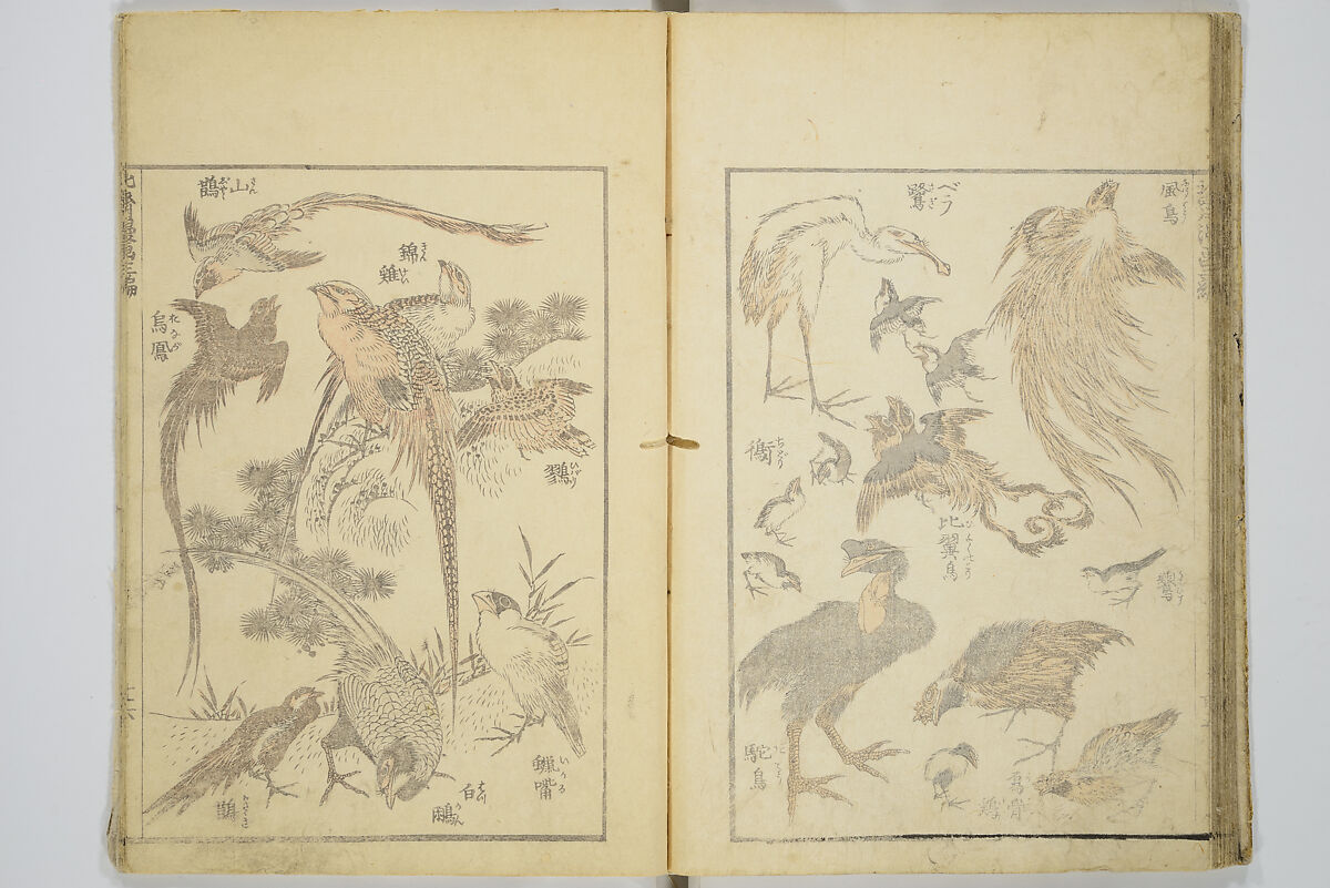 Transmitting the Spirit, Revealing the Form of Things, Volume 1 to 15 of Hokusai Sketchbooks (Denshin kaishu: Hokusai manga, shohen–jugohen) 伝神開手北斎漫画 初編-十五編, Katsushika Hokusai 葛飾北斎 (Japanese, Tokyo (Edo) 1760–1849 Tokyo (Edo)), Set of fifteen woodblock printed books; ink and color on paper, Japan