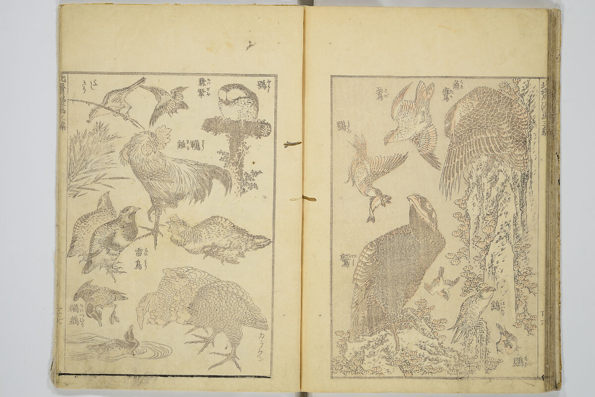 Transmitting the Spirit, Revealing the Form of Things, Volume 1 to 15 of Hokusai Sketchbooks (Denshin kaishu: Hokusai manga, shohen–jugohen) 伝神開手北斎漫画 初編-十五編, Katsushika Hokusai 葛飾北斎 (Japanese, Tokyo (Edo) 1760–1849 Tokyo (Edo)), Set of fifteen woodblock printed books; ink and color on paper, Japan