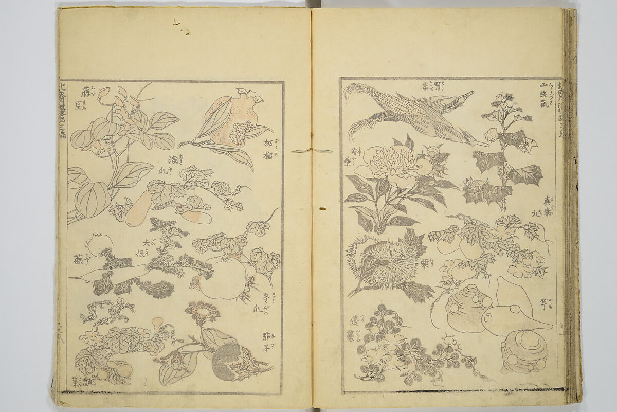 Transmitting the Spirit, Revealing the Form of Things, Volume 1 to 15 of Hokusai Sketchbooks (Denshin kaishu: Hokusai manga, shohen–jugohen) 伝神開手北斎漫画 初編-十五編, Katsushika Hokusai 葛飾北斎 (Japanese, Tokyo (Edo) 1760–1849 Tokyo (Edo)), Set of fifteen woodblock printed books; ink and color on paper, Japan