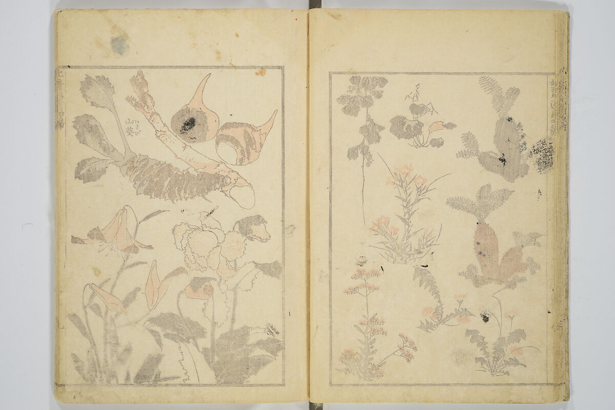 Transmitting the Spirit, Revealing the Form of Things, Volume 1 to 15 of Hokusai Sketchbooks (Denshin kaishu: Hokusai manga, shohen–jugohen) 伝神開手北斎漫画 初編-十五編, Katsushika Hokusai 葛飾北斎 (Japanese, Tokyo (Edo) 1760–1849 Tokyo (Edo)), Set of fifteen woodblock printed books; ink and color on paper, Japan