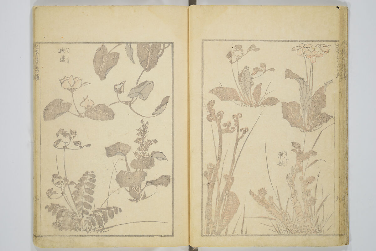 Transmitting the Spirit, Revealing the Form of Things, Volume 1 to 15 of Hokusai Sketchbooks (Denshin kaishu: Hokusai manga, shohen–jugohen) 伝神開手北斎漫画 初編-十五編, Katsushika Hokusai 葛飾北斎 (Japanese, Tokyo (Edo) 1760–1849 Tokyo (Edo)), Set of fifteen woodblock printed books; ink and color on paper, Japan