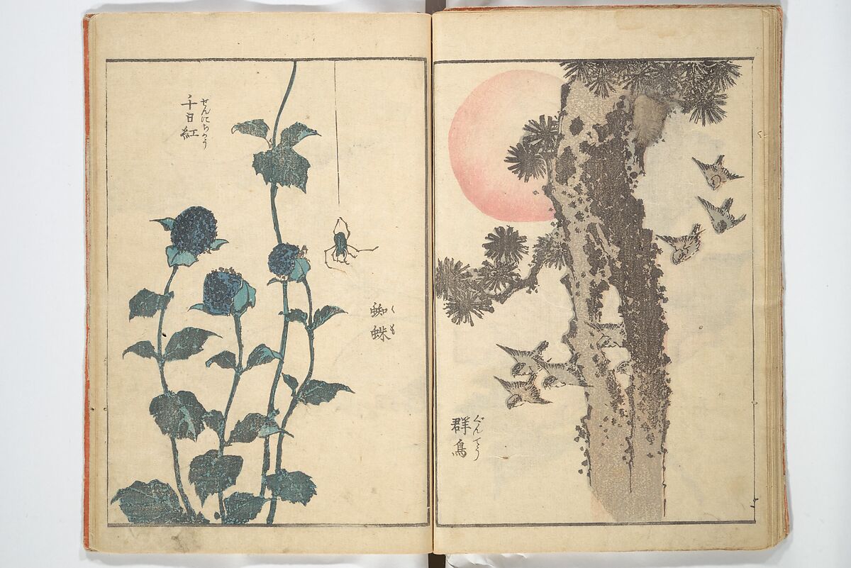 Picture Book with Mixed Verses on Jōruri (Puppet Theater) Ehon jōruri zekku)  繪本浄瑠璃絶句, Katsushika Hokusai 葛飾北斎 (Japanese, Tokyo (Edo) 1760–1849 Tokyo (Edo)), Woodblock printed book; ink and color on paper, Japan