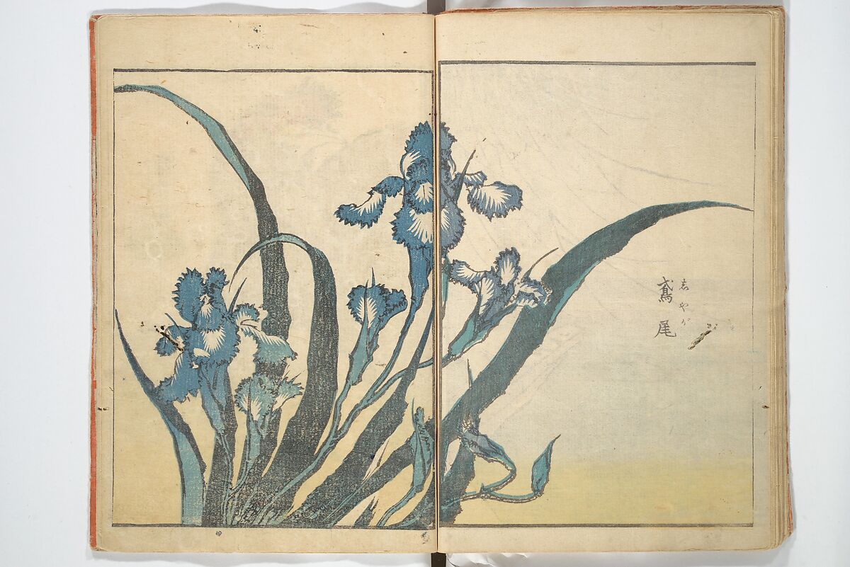 Picture Book with Mixed Verses on Jōruri (Puppet Theater) Ehon jōruri zekku)  繪本浄瑠璃絶句, Katsushika Hokusai 葛飾北斎 (Japanese, Tokyo (Edo) 1760–1849 Tokyo (Edo)), Woodblock printed book; ink and color on paper, Japan