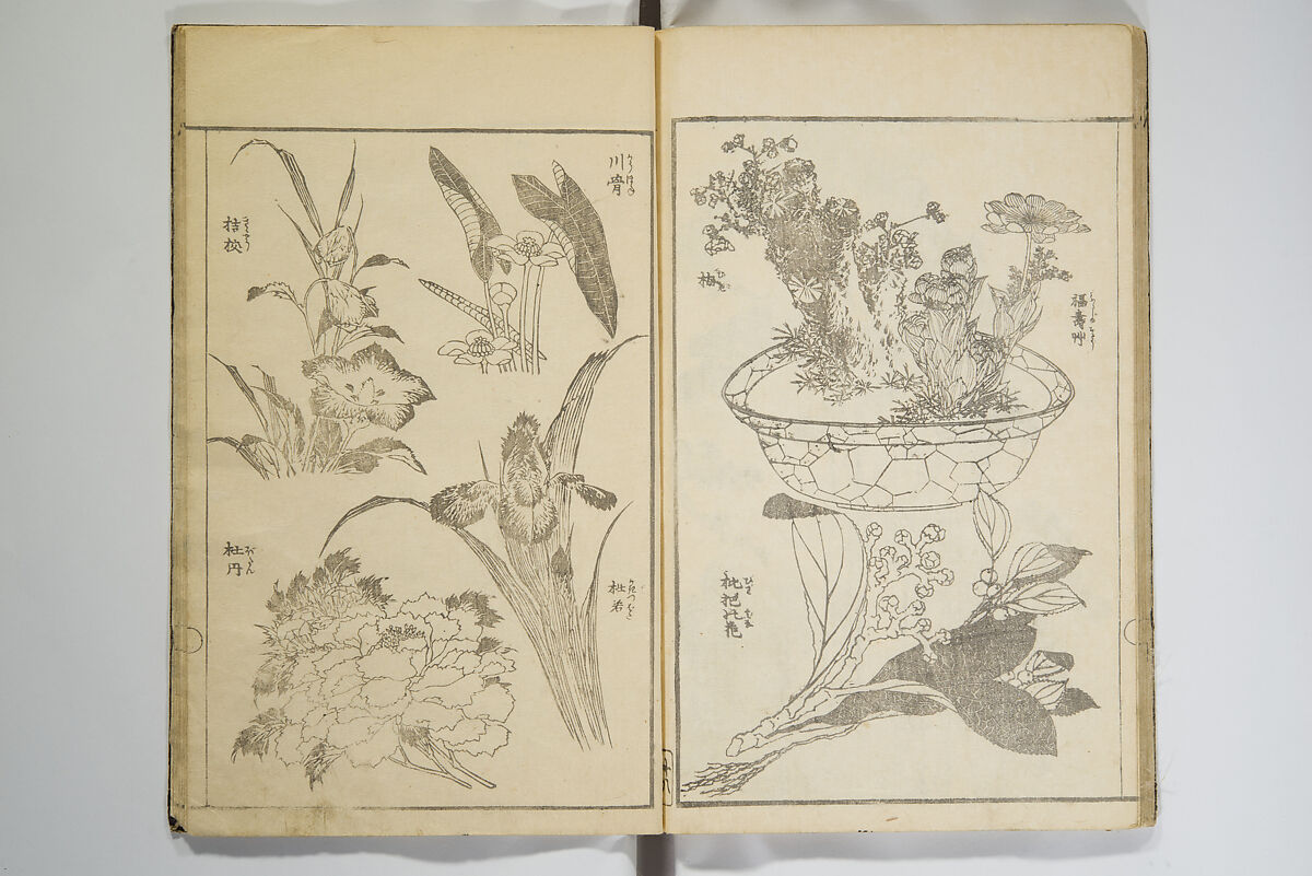 Picture Album Transmitting the Spirit: The Hokusai Drawing Style (Denshin gafu Hokusai gashiki), Katsushika Hokusai 葛飾北斎 (Japanese, Tokyo (Edo) 1760–1849 Tokyo (Edo)), Woodblock printed book; ink on paper, Japan