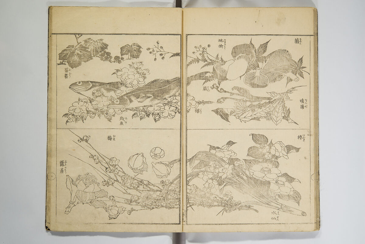 Picture Album Transmitting the Spirit: The Hokusai Drawing Style (Denshin gafu Hokusai gashiki), Katsushika Hokusai 葛飾北斎 (Japanese, Tokyo (Edo) 1760–1849 Tokyo (Edo)), Woodblock printed book; ink on paper, Japan