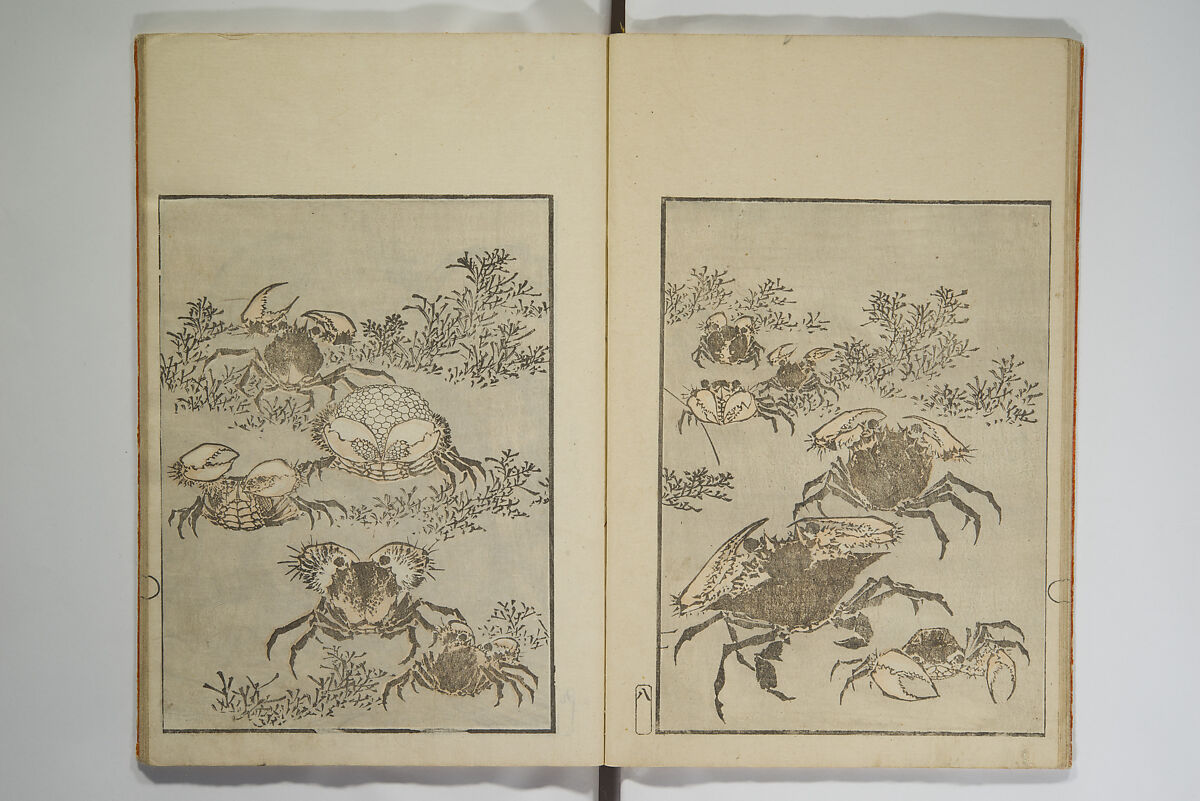 Picture Album Transmitting the Spirit: The Hokusai Drawing Style (Denshin gafu Hokusai gashiki), Katsushika Hokusai 葛飾北斎 (Japanese, Tokyo (Edo) 1760–1849 Tokyo (Edo)), Set of three woodblock printed books; ink on paper, Japan