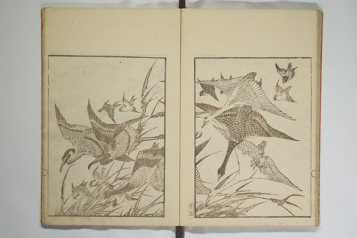 Picture Album Transmitting the Spirit: The Hokusai Drawing Style (Denshin gafu Hokusai gashiki), Katsushika Hokusai 葛飾北斎 (Japanese, Tokyo (Edo) 1760–1849 Tokyo (Edo)), Set of three woodblock printed books; ink on paper, Japan