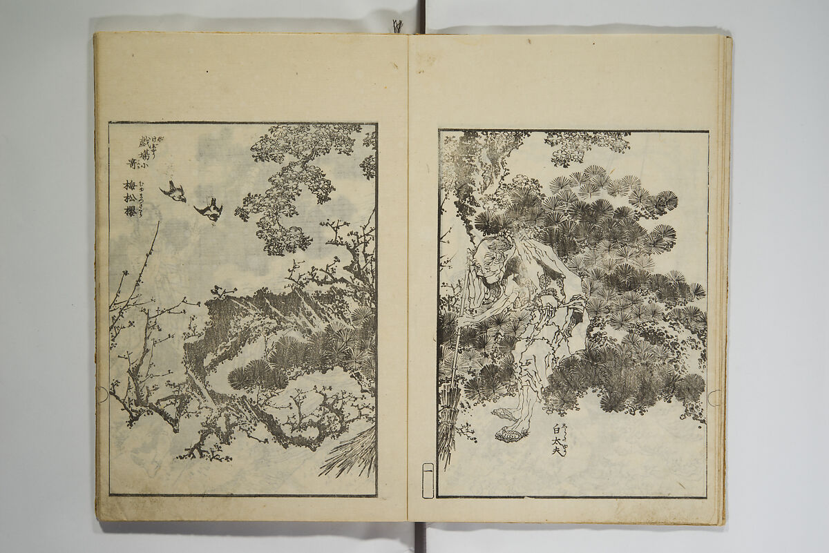 Picture Album Transmitting the Spirit: The Hokusai Drawing Style (Denshin gafu Hokusai gashiki), Katsushika Hokusai 葛飾北斎 (Japanese, Tokyo (Edo) 1760–1849 Tokyo (Edo)), Set of three woodblock printed books; ink on paper, Japan