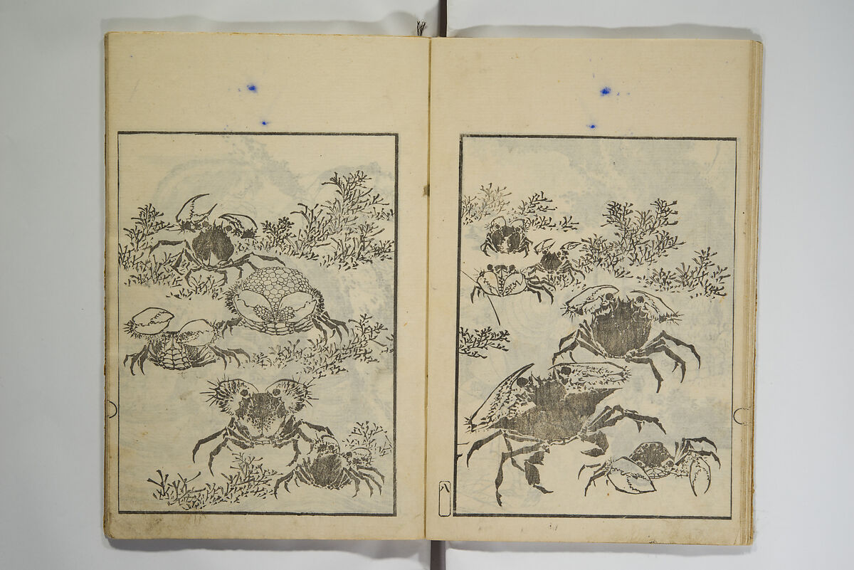 Picture Album Transmitting the Spirit: The Hokusai Drawing Style (Denshin gafu Hokusai gashiki), Katsushika Hokusai 葛飾北斎 (Japanese, Tokyo (Edo) 1760–1849 Tokyo (Edo)), Set of three woodblock printed books; ink on paper, Japan