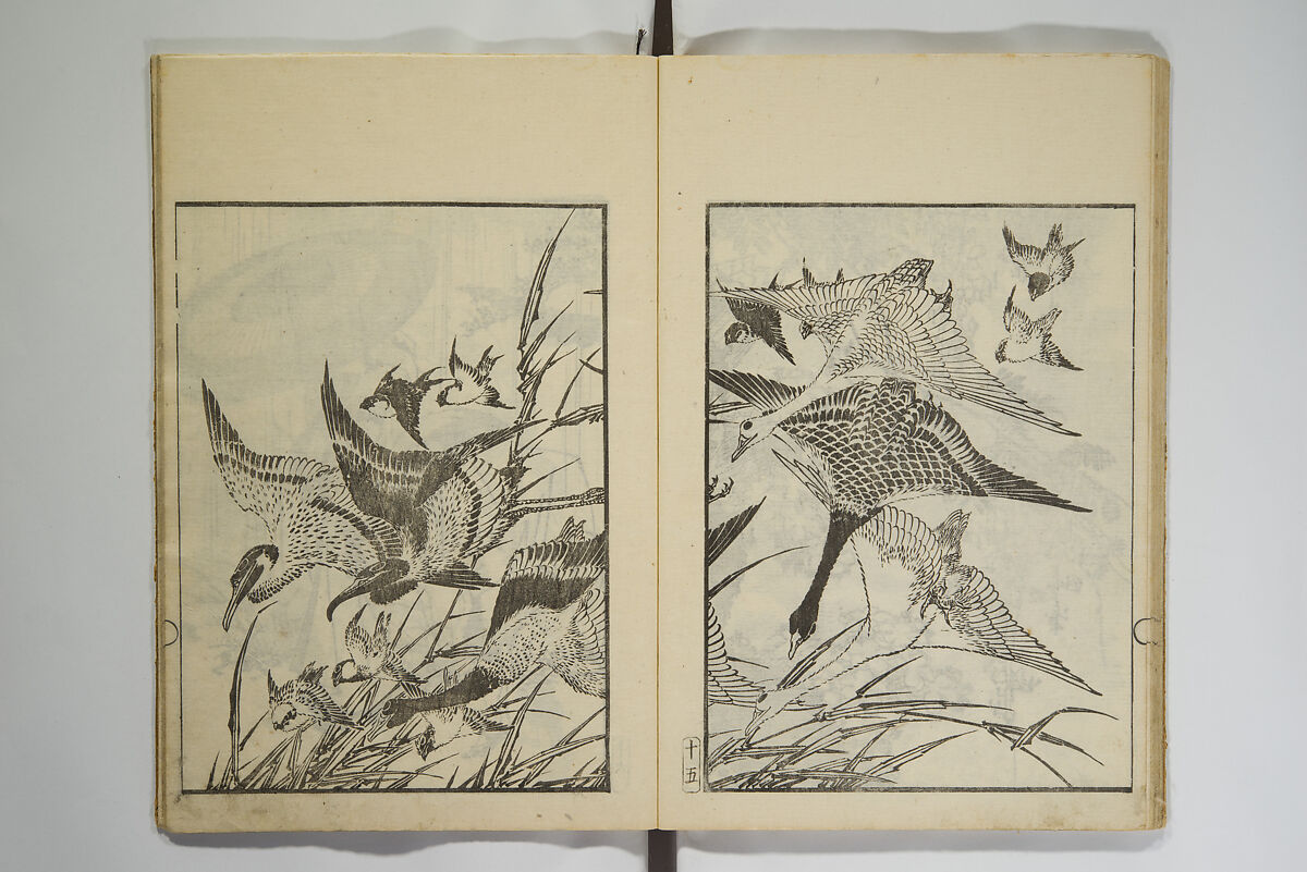 Picture Album Transmitting the Spirit: The Hokusai Drawing Style (Denshin gafu Hokusai gashiki), Katsushika Hokusai 葛飾北斎 (Japanese, Tokyo (Edo) 1760–1849 Tokyo (Edo)), Set of three woodblock printed books; ink on paper, Japan