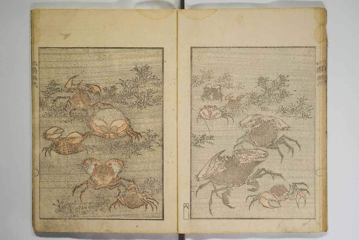 Picture Album Transmitting the Spirit: The Hokusai Drawing Style (Denshin gafu Hokusai gashiki), Katsushika Hokusai 葛飾北斎 (Japanese, Tokyo (Edo) 1760–1849 Tokyo (Edo)), Set of three woodblock printed books; ink on paper, Japan