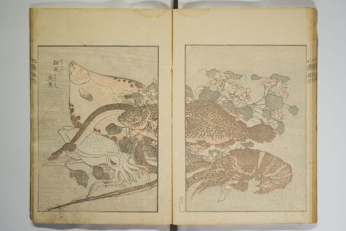 Picture Album Transmitting the Spirit: The Hokusai Drawing Style (Denshin gafu Hokusai gashiki), Katsushika Hokusai 葛飾北斎 (Japanese, Tokyo (Edo) 1760–1849 Tokyo (Edo)), Set of three woodblock printed books; ink on paper, Japan