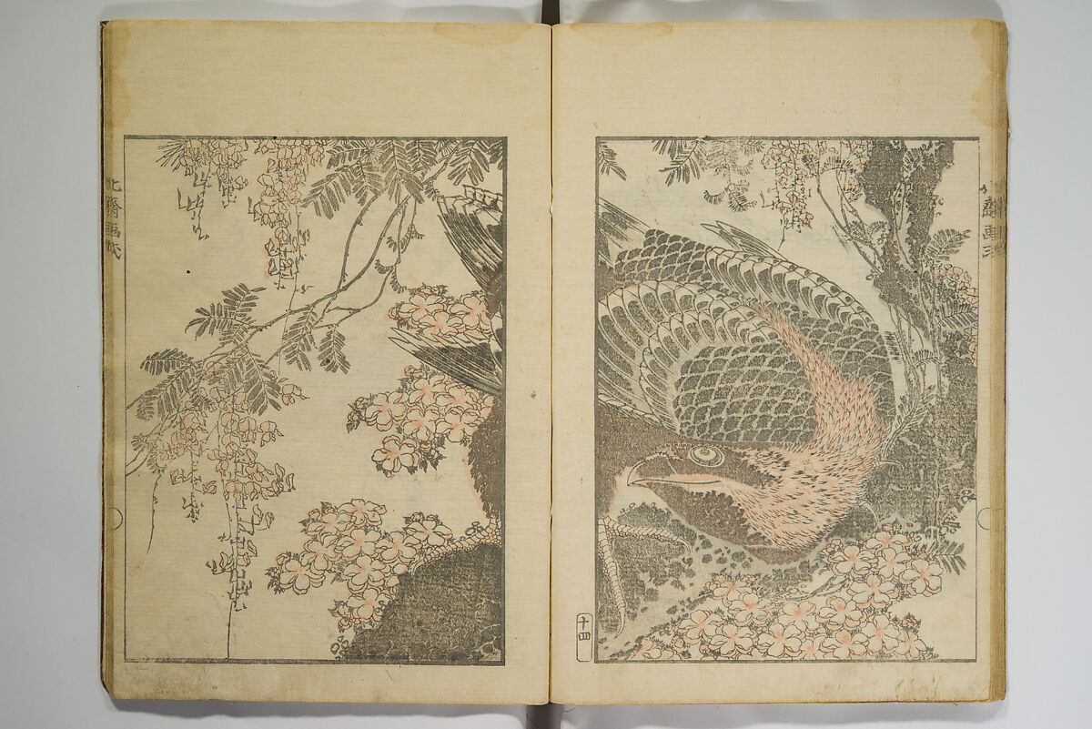 Picture Album Transmitting the Spirit: The Hokusai Drawing Style (Denshin gafu Hokusai gashiki), Katsushika Hokusai 葛飾北斎 (Japanese, Tokyo (Edo) 1760–1849 Tokyo (Edo)), Set of three woodblock printed books; ink on paper, Japan