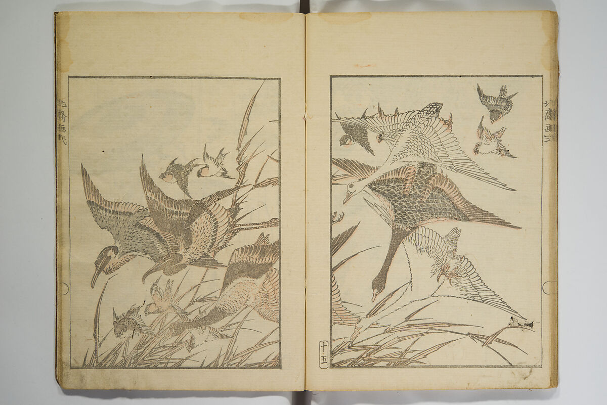 Picture Album Transmitting the Spirit: The Hokusai Drawing Style (Denshin gafu Hokusai gashiki), Katsushika Hokusai 葛飾北斎 (Japanese, Tokyo (Edo) 1760–1849 Tokyo (Edo)), Set of three woodblock printed books; ink on paper, Japan