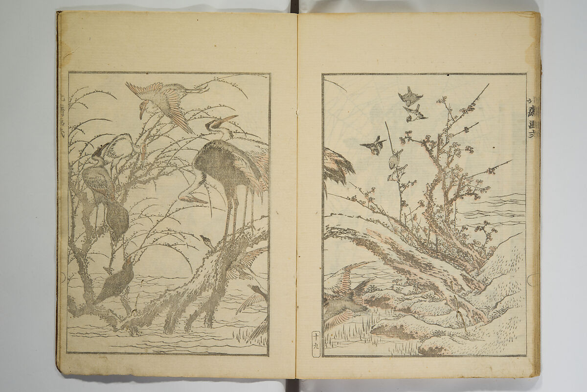 Picture Album Transmitting the Spirit: The Hokusai Drawing Style (Denshin gafu Hokusai gashiki), Katsushika Hokusai 葛飾北斎 (Japanese, Tokyo (Edo) 1760–1849 Tokyo (Edo)), Set of three woodblock printed books; ink on paper, Japan